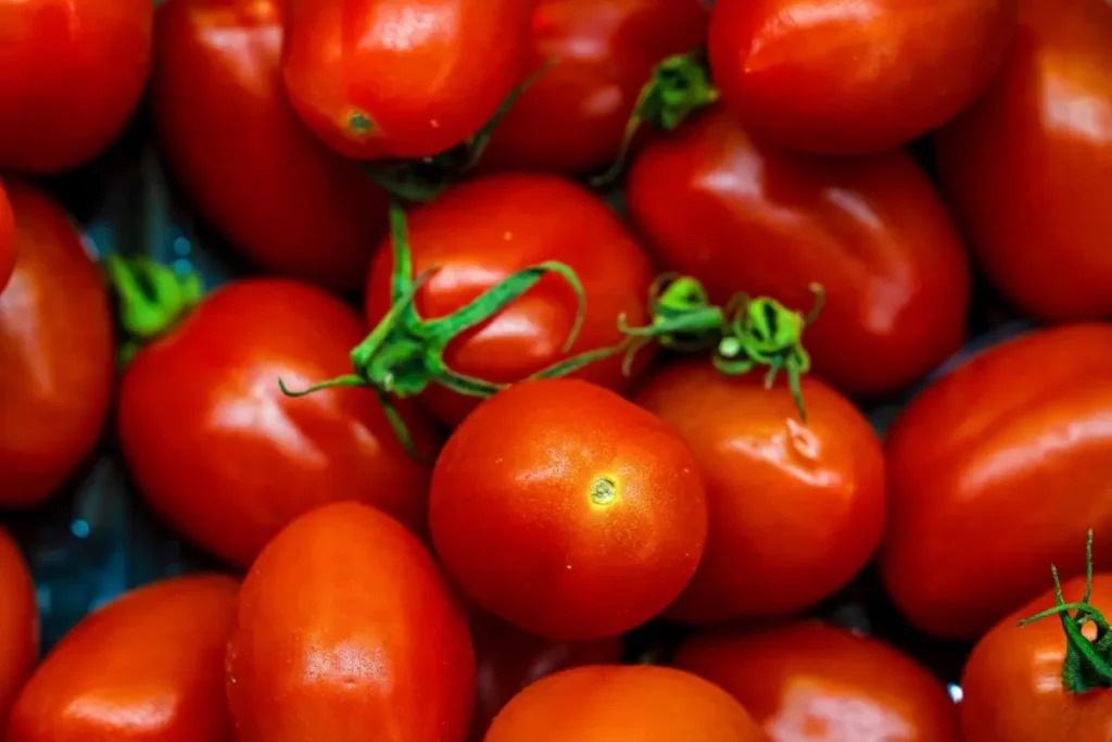 O método Pomodoro funciona para vencer a procrastinação.