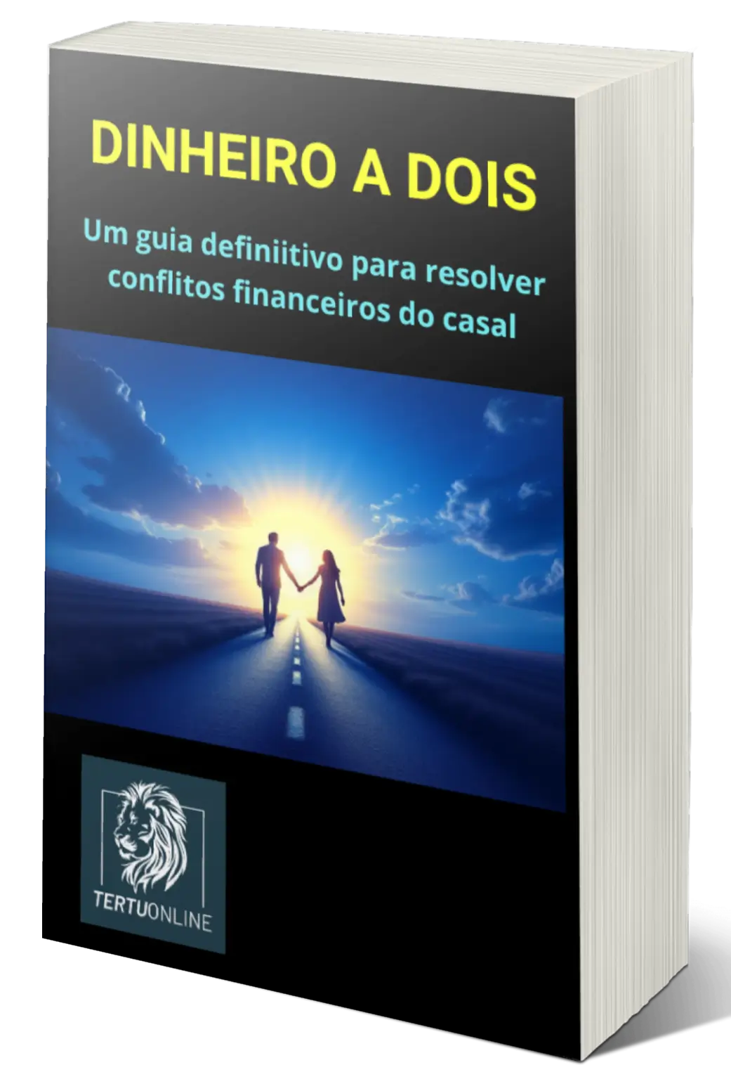 DINHEIRO A DOIS - Um guia para o fim dos conflitos na relação.