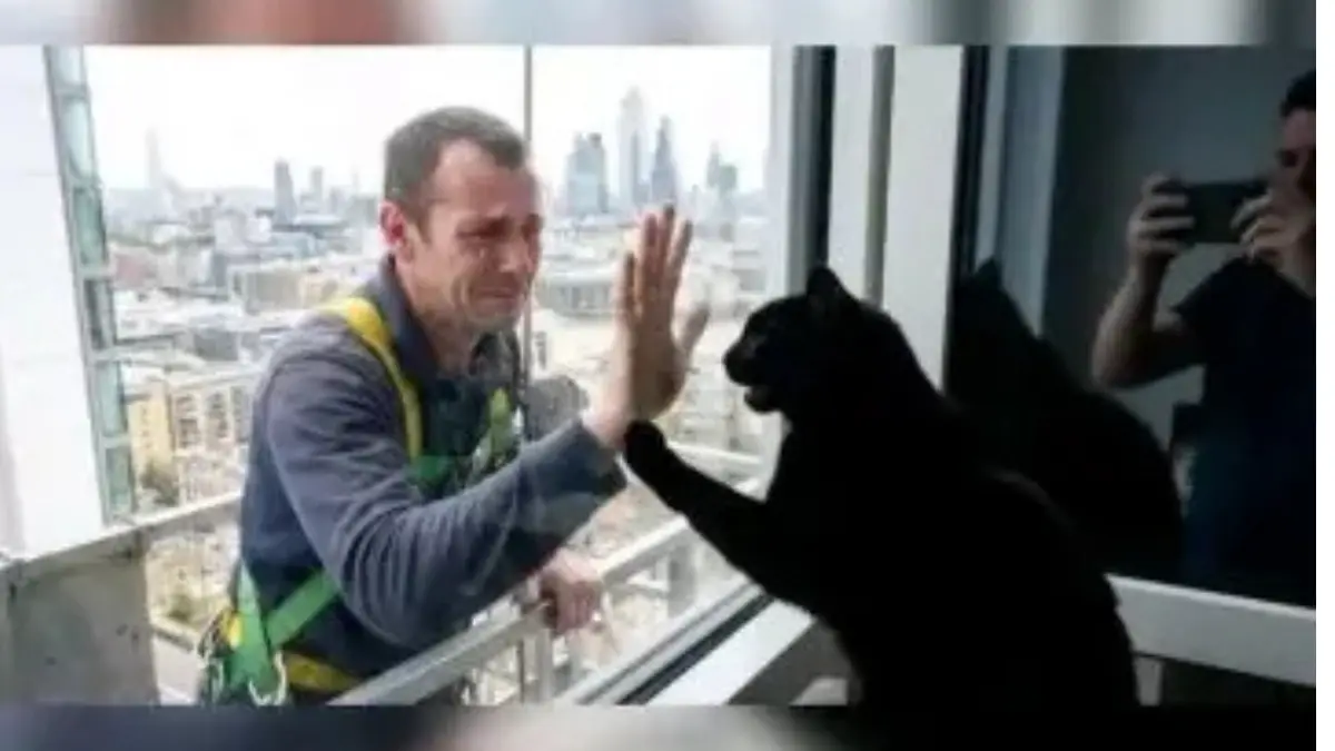 O gato Guinness e Stephen. Uma verdadeira amizade não tem limites.